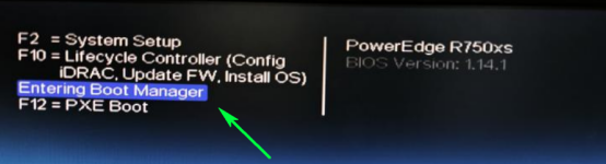 自检界面按 F11 进入 Boot Manager