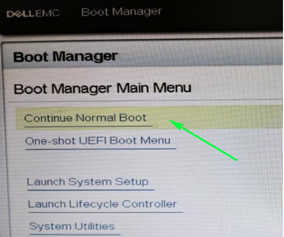 Boot Manager 主菜单选择 One-shot UEFI Boot Menu