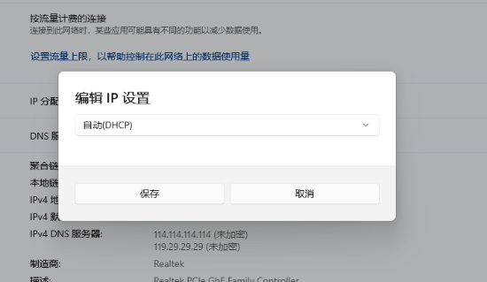 选择手动并开启 IPv4