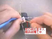 芯线按颜色线序置入线槽